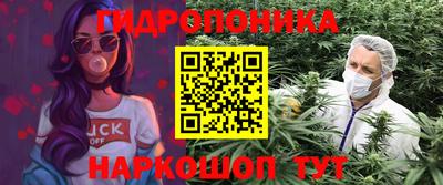 стафф Северобайкальск