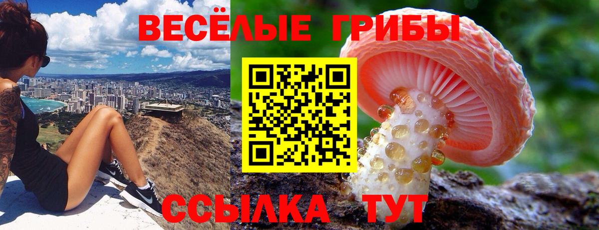Галлюциногенные грибы Psilocybine cubensis  Галлюциногенные грибы ЛСД  Подольск  Вход с VPN 