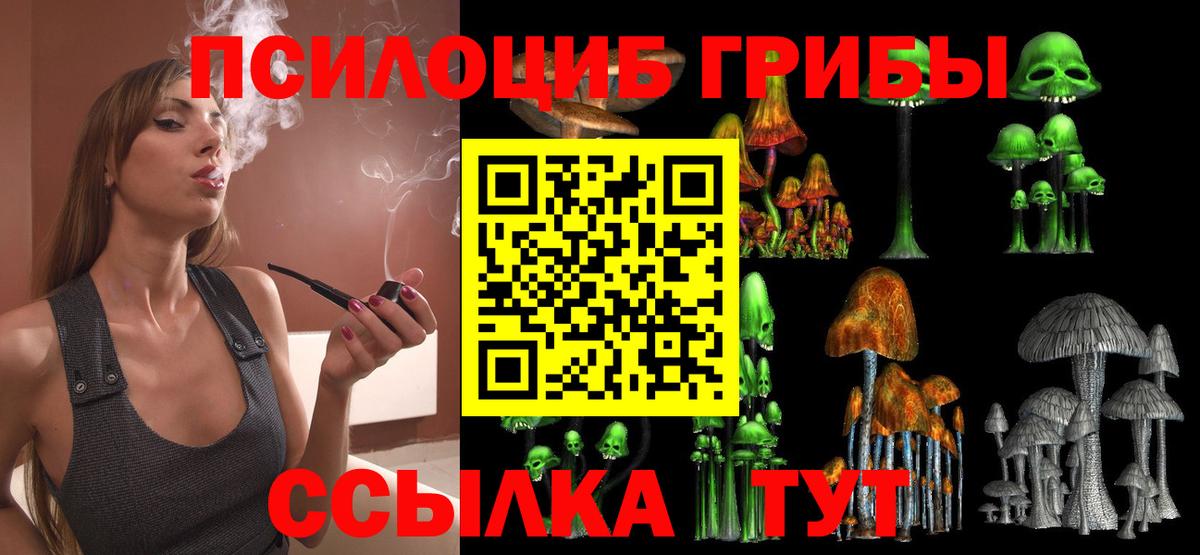 Галлюциногенные грибы мицелий Подольск